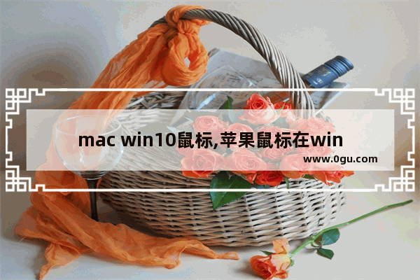 mac win10鼠标,苹果鼠标在win10系统下使用方法