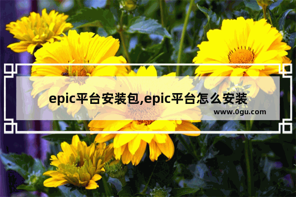 epic平台安装包,epic平台怎么安装不了