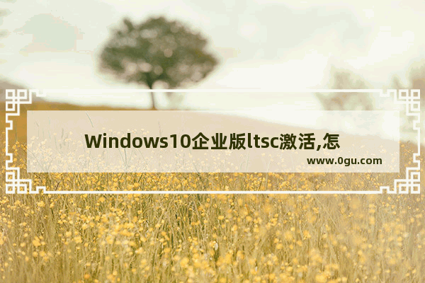 Windows10企业版ltsc激活,怎样激活windows10企业版LTSC