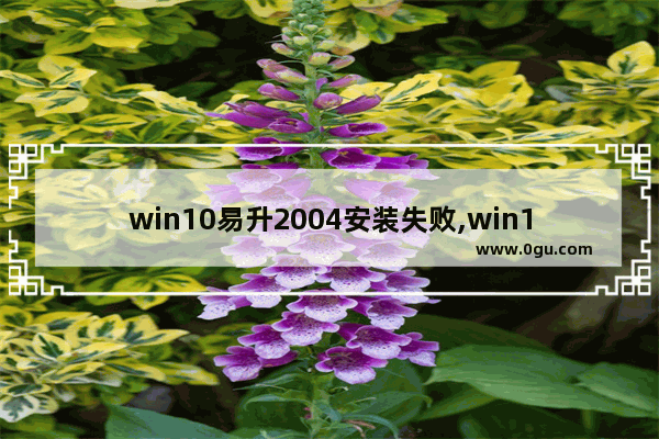 win10易升2004安装失败,win10 2004停止支持