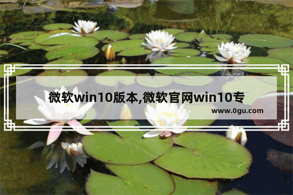 微软win10版本,微软官网win10专业版下载及安装方法