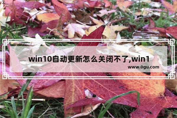 win10自动更新怎么关闭不了,win10系统自动更新怎么关闭不了