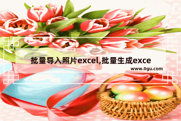 批量导入照片excel,批量生成excel员工简历照片