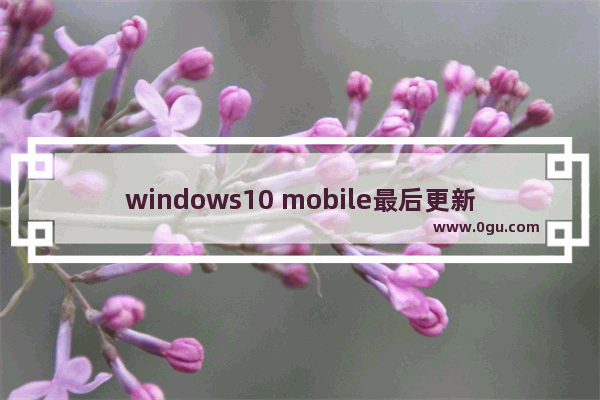 windows10 mobile最后更新,win10 mobile下载 1