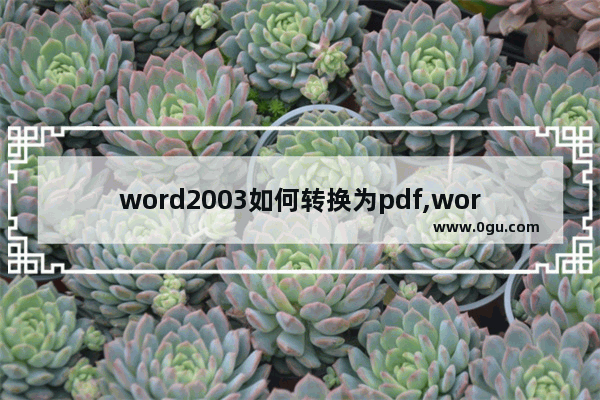 word2003如何转换为pdf,word2003怎么保存为pdf格式