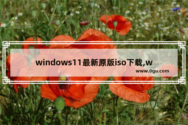 windows11最新原版iso下载,win10系统iso文件下载