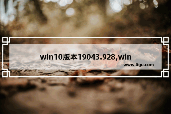 win10版本19043.928,win10更新了KB4592449