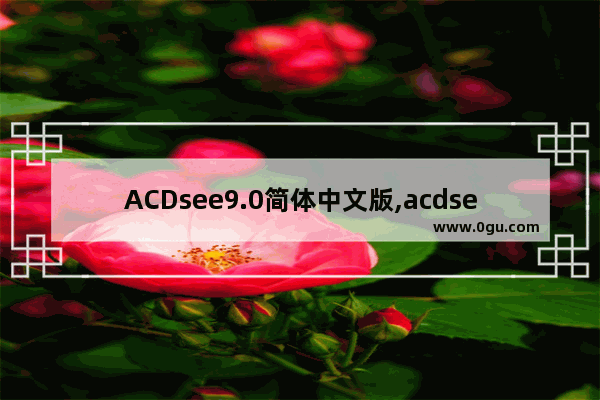 ACDsee9.0简体中文版,acdsee中文版免费下载