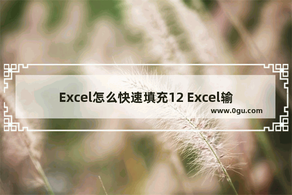 Excel怎么快速填充12 Excel输入重复数据的方法