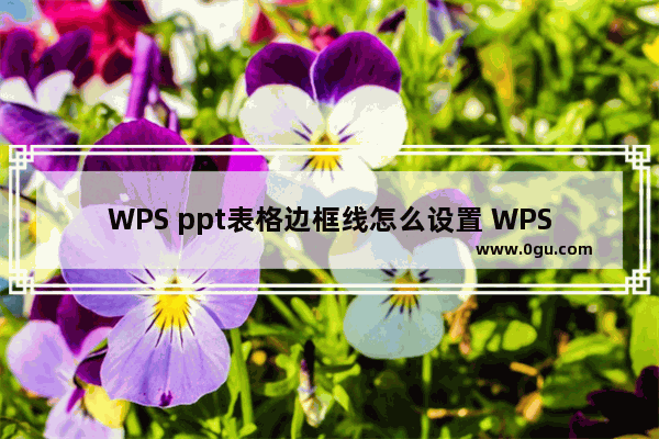 WPS ppt表格边框线怎么设置 WPS ppt给表格添加边框线的方法