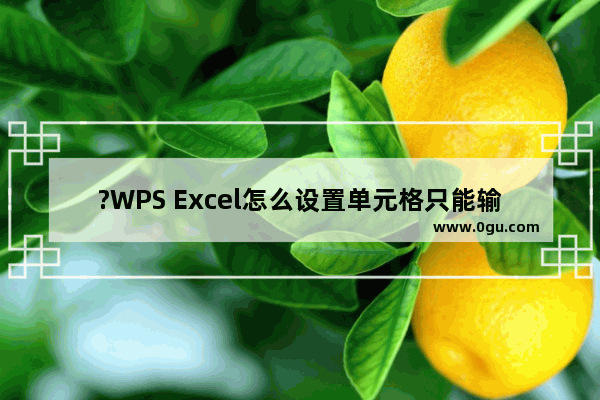 ?WPS Excel怎么设置单元格只能输入小数 WPS表格限制只能输入小数的方法教程