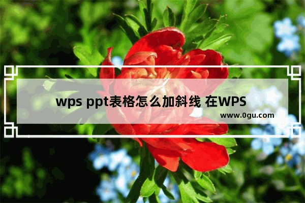 wps ppt表格怎么加斜线 在WPS PPT的表格中插入斜线的方法