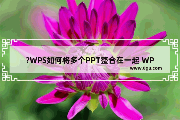 ?WPS如何将多个PPT整合在一起 WPS演示文稿合并两个PPT文件的方法教程