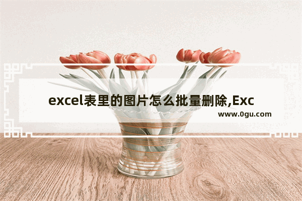 excel表里的图片怎么批量删除,Excel表格如何批量删除图片