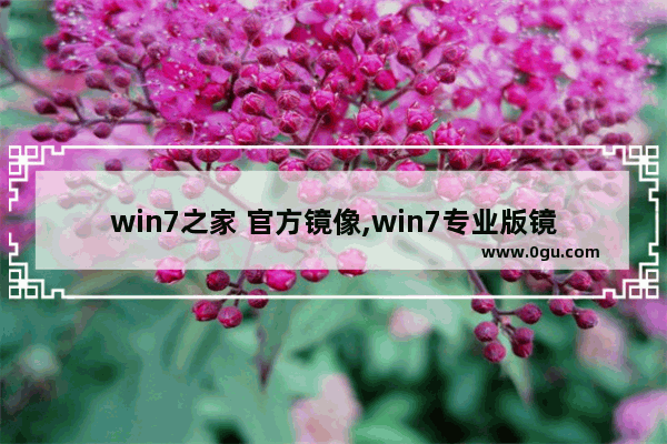 win7之家 官方镜像,win7专业版镜像