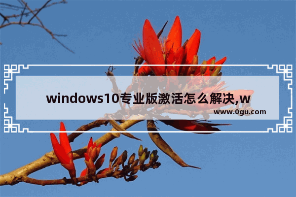 windows10专业版激活怎么解决,win10专业版激活错误代码0xc004f074