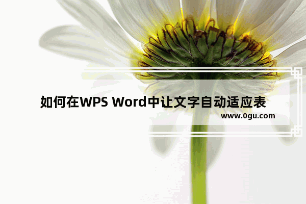 如何在WPS Word中让文字自动适应表格大小 WPS word设置表格文字随表格大小变化的方法