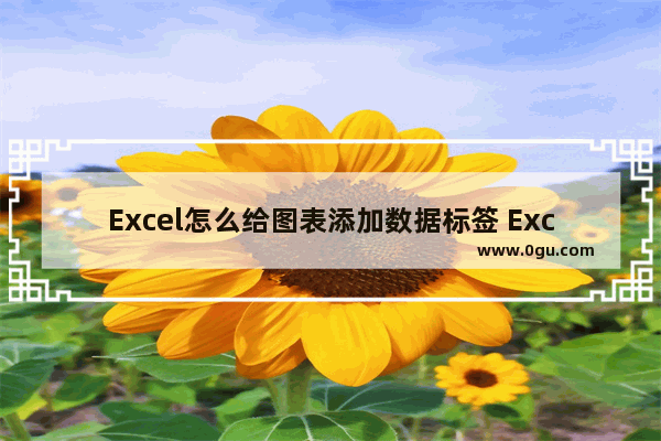 Excel怎么给图表添加数据标签 Excel给图表添加数据标签的方法