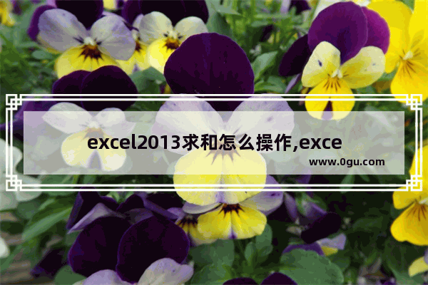 excel2013求和怎么操作,excel2010求和怎么操作