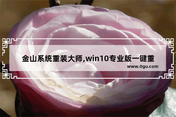 金山系统重装大师,win10专业版一键重装系统