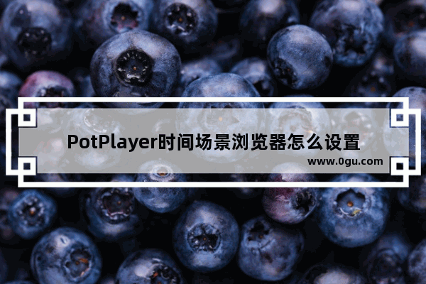 PotPlayer时间场景浏览器怎么设置 PotPlayer时间场景浏览器设置的方法