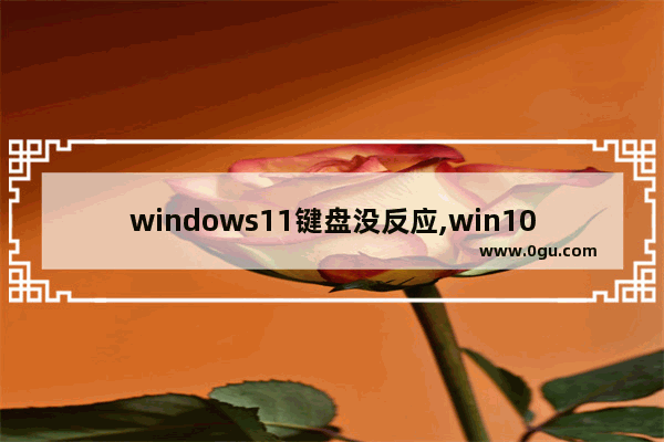 windows11键盘没反应,win10开始键点击无反应,按键无反应