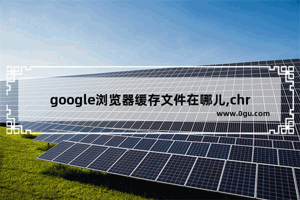 google浏览器缓存文件在哪儿,chrome的缓存文件夹