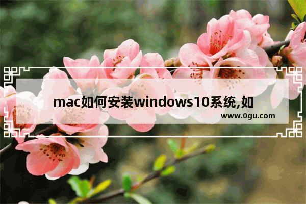 mac如何安装windows10系统,如何在mac上安装win10