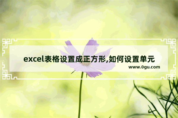 excel表格设置成正方形,如何设置单元格为正方形