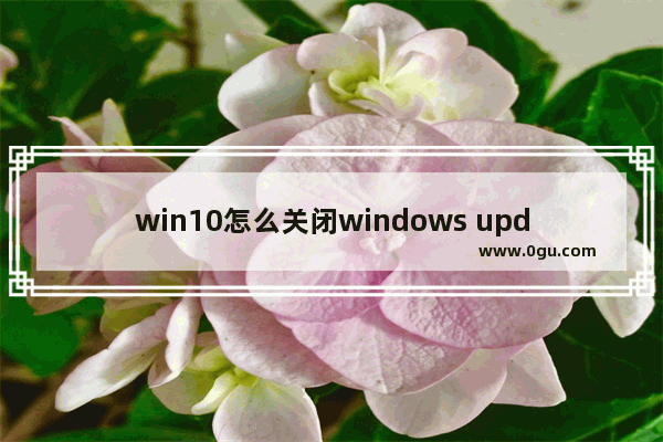 win10怎么关闭windows update自动更新,windows update关闭自动更新