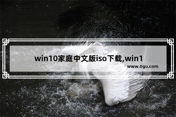 win10家庭中文版iso下载,win10原版系统iso镜像下载