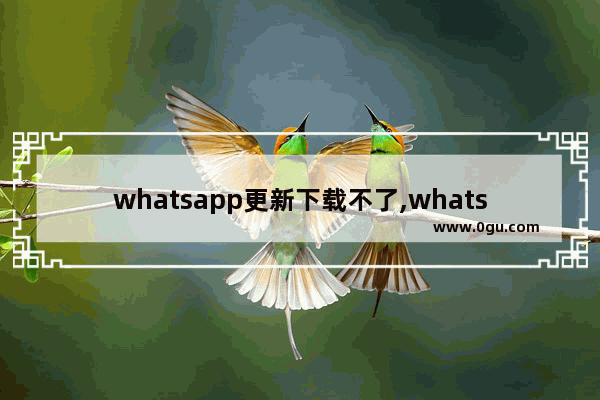 whatsapp更新下载不了,whatsapp版本太旧 无法更新