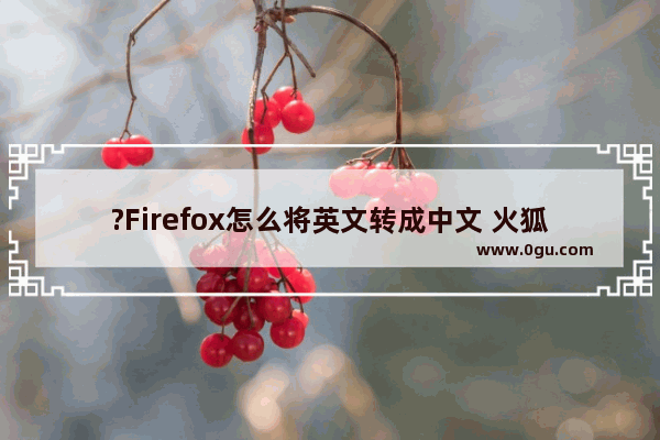 ?Firefox怎么将英文转成中文 火狐浏览器设置语言为简体中文的方法教程