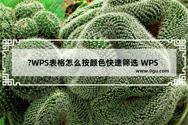 ?WPS表格怎么按颜色快速筛选 WPS Excel按照颜色进行筛选操作的方法教程