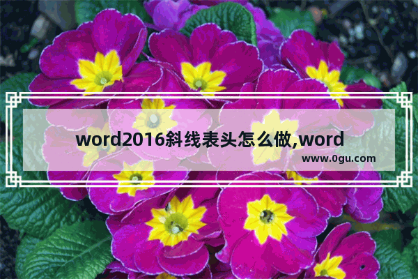 word2016斜线表头怎么做,word2007如何绘制斜线表头