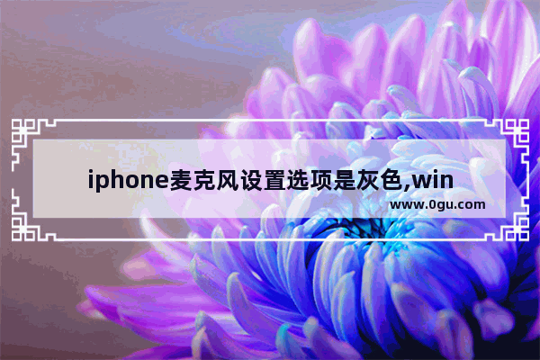 iphone麦克风设置选项是灰色,win10麦克风设置灰色