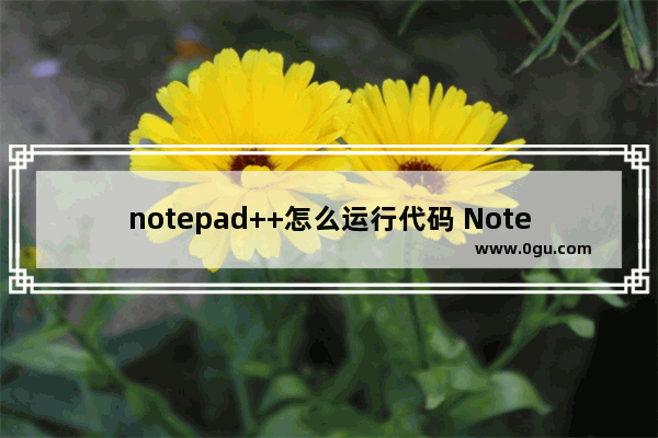 notepad++怎么运行代码 Notepad++运行html代码的方法