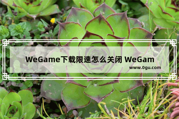 WeGame下载限速怎么关闭 WeGame关闭下载限速的方法