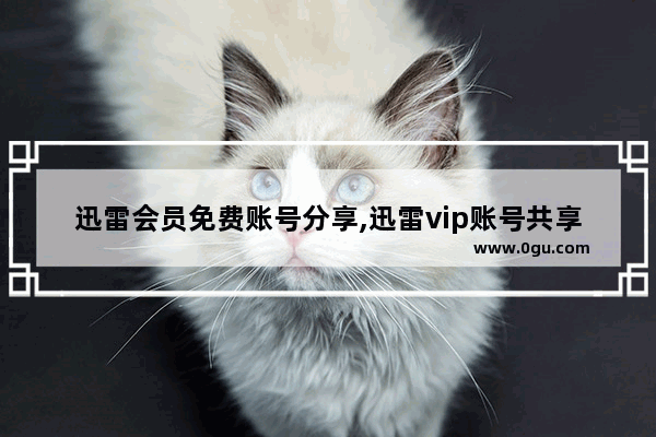 迅雷会员免费账号分享,迅雷vip账号共享最新 12