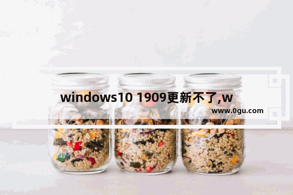 windows10 1909更新不了,win101903怎么更新到1909