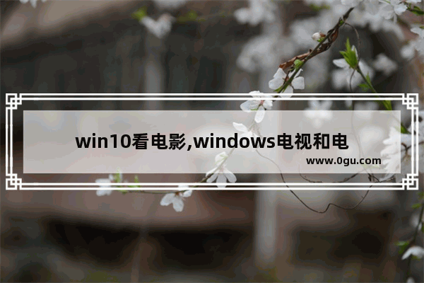 win10看电影,windows电视和电影