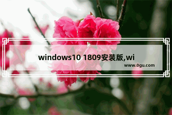 windows10 1809安装版,win10 1809