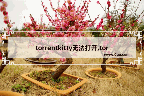 torrentkitty无法打开,torrentkittyorg.用不了