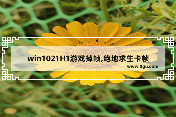 win1021H1游戏掉帧,绝地求生卡帧win10优化