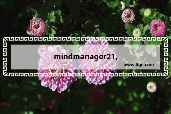 mindmanager21,