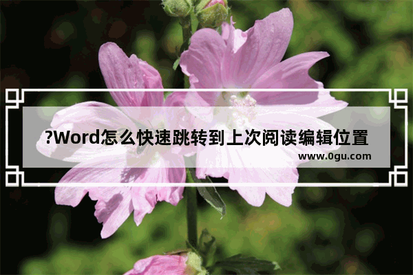 ?Word怎么快速跳转到上次阅读编辑位置 Word打开文档后快速跳转到上次编辑位置的方法教程