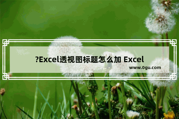 ?Excel透视图标题怎么加 Excel为数据透视图添加标题的方法教程