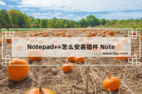 Notepad++怎么安装插件 Notepad++安装插件的方法