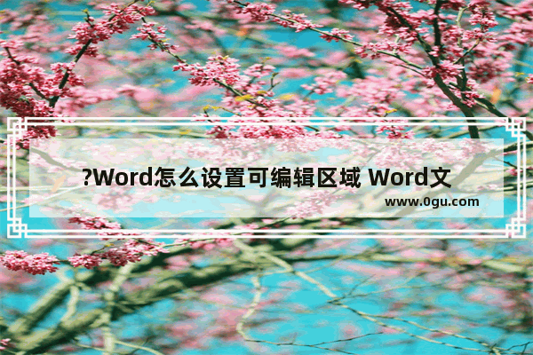 ?Word怎么设置可编辑区域 Word文档设置只有部分区域可以编辑的方法教程