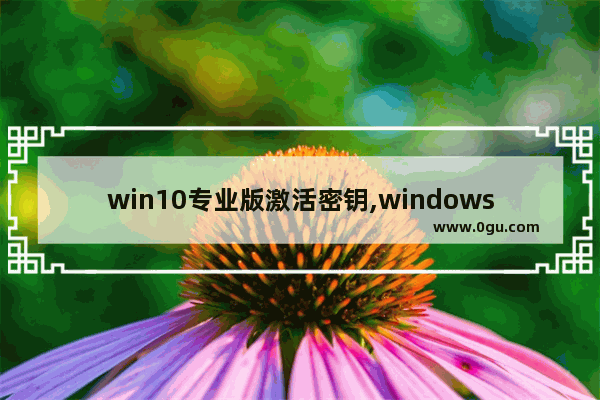 win10专业版激活密钥,windows server 2016密钥 激活